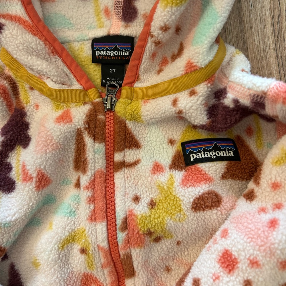 Girls Patagonia hooded fleece 💕 2T